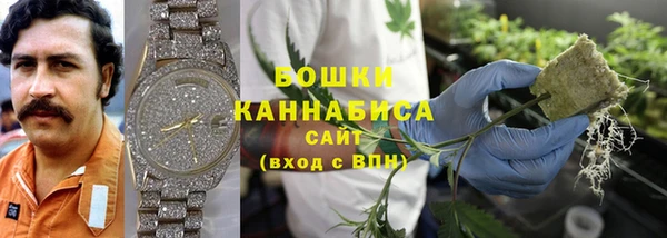прущая мука Белокуриха