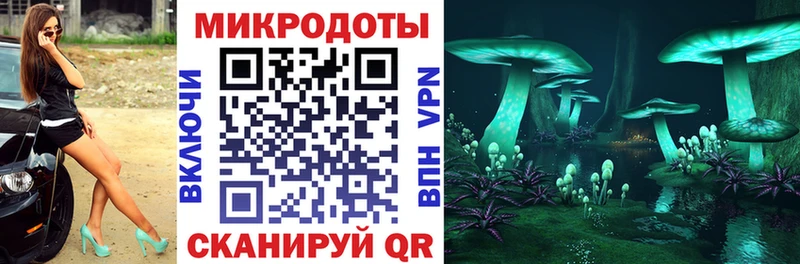 кракен ссылки  Болхов  Псилоцибиновые грибы GOLDEN TEACHER 